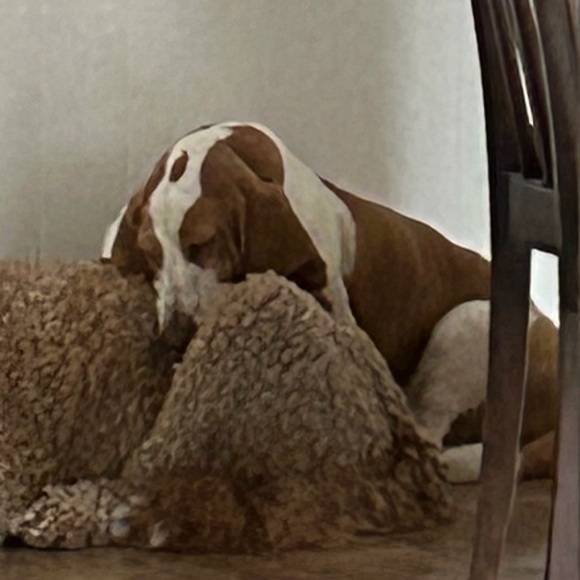 Meet your Posher, Alex - Picture 1 of 2